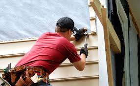 Best Vinyl Siding Installation  in Lake Isabella, CA